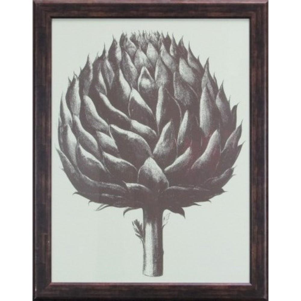Artichoke Framed Art