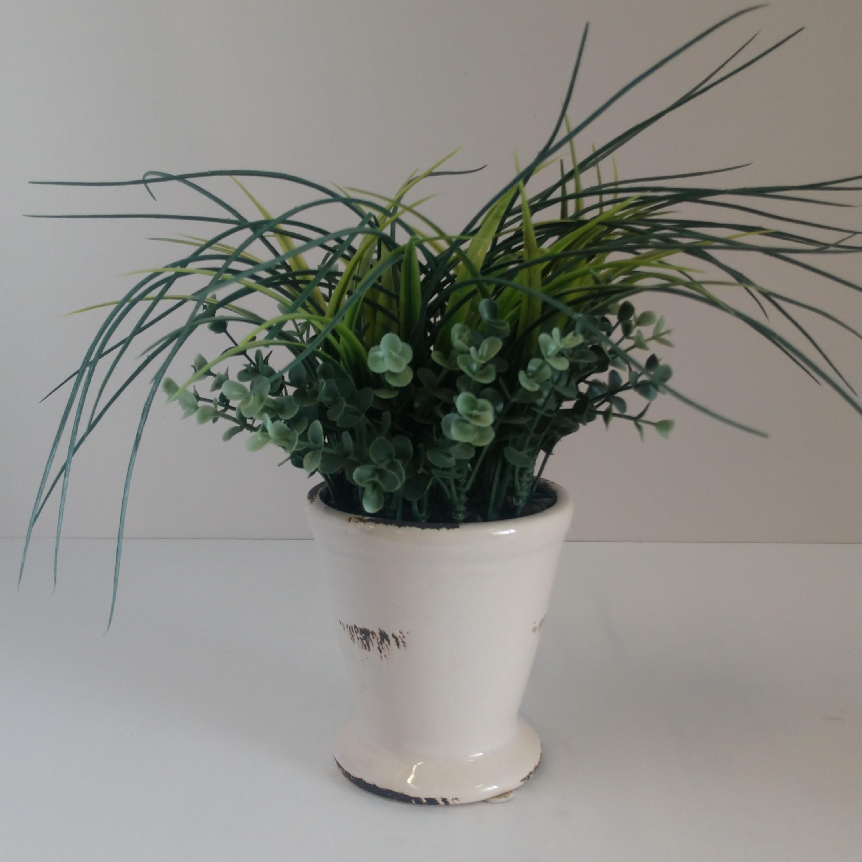 Table Plant