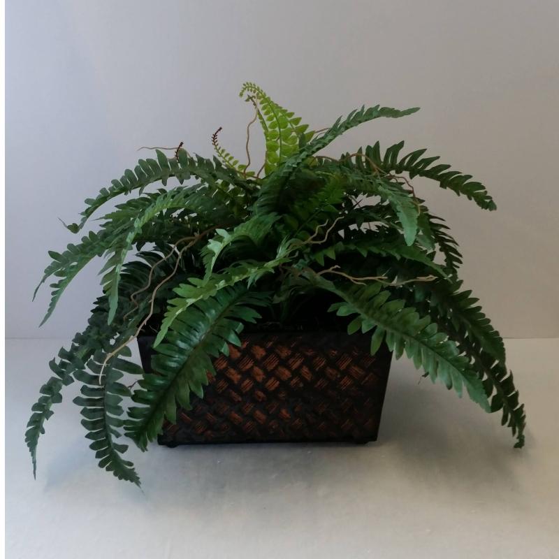 Table Plant