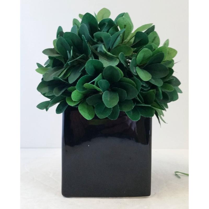 Table Plant