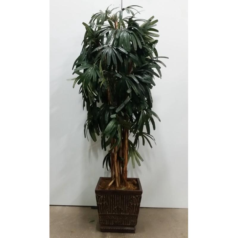 Palm Tree In Sq. Base