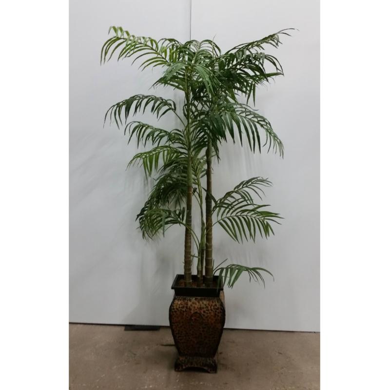 Palm Tree In Sq. Metal Base