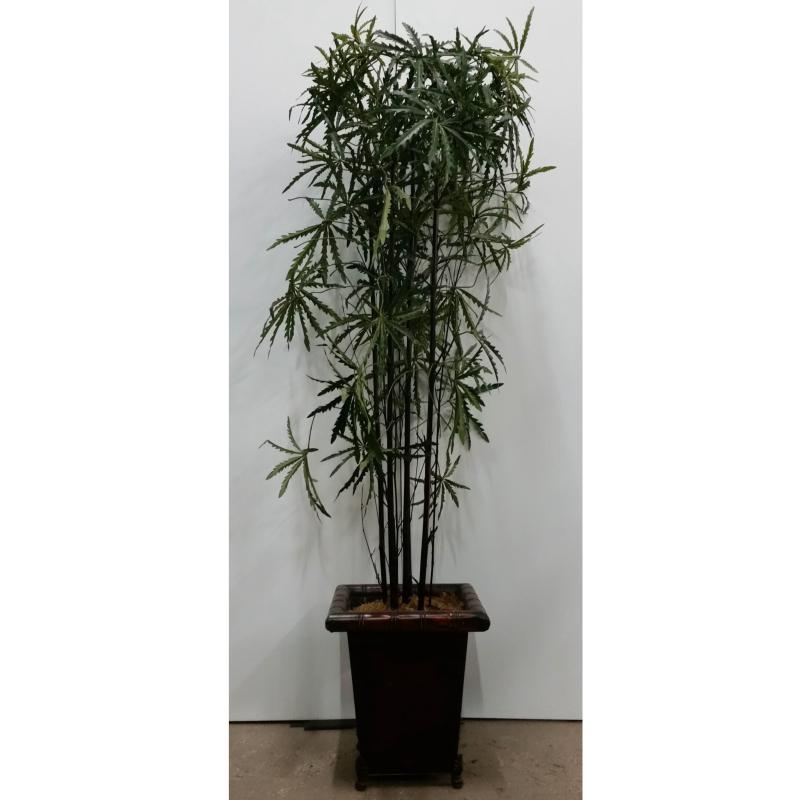 Tree In Sq. Base