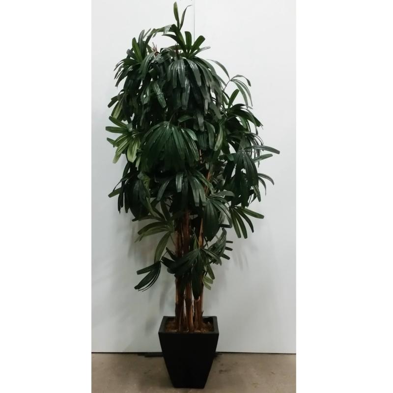 Tree In Sq. Base