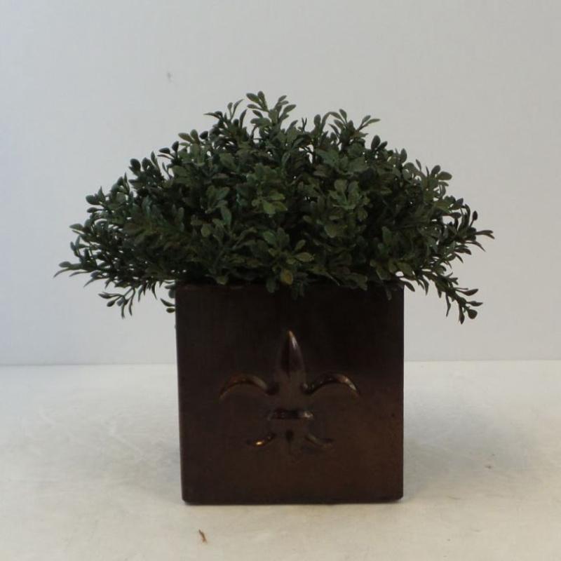 Table Plant