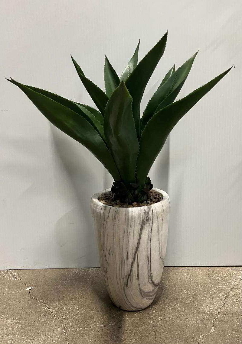 Plant In Rnd. Marble Base