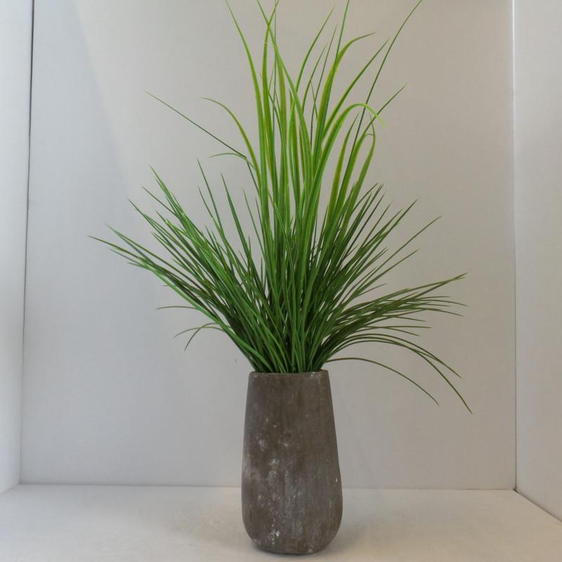 Table Plant