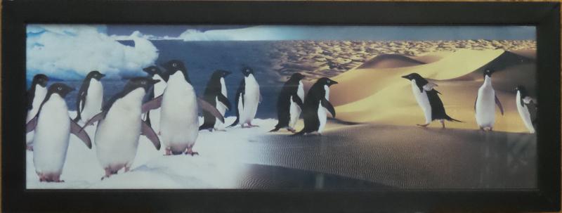 Penguins