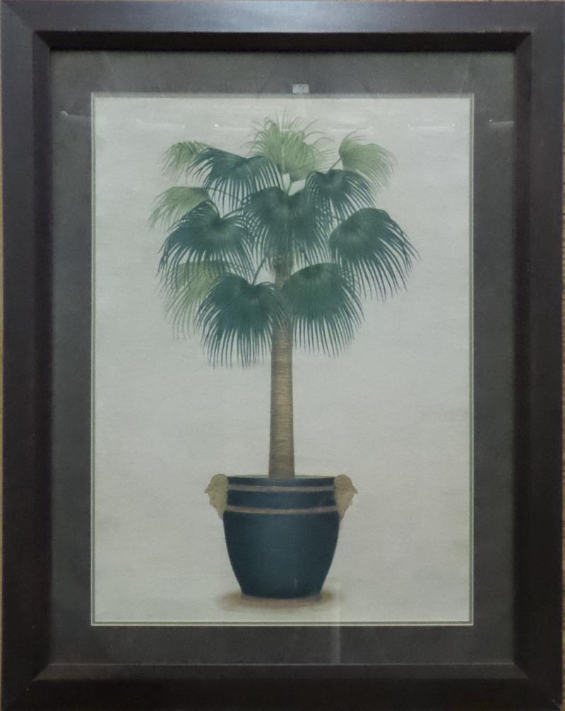 Palm Tree In A Pot