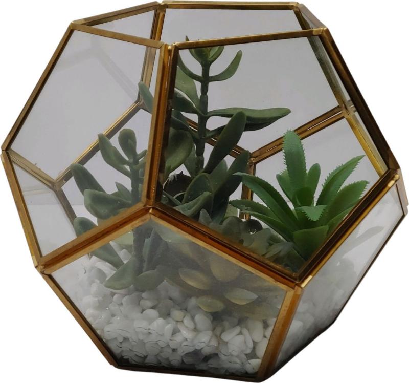 Pentaganol Glass Terrarium