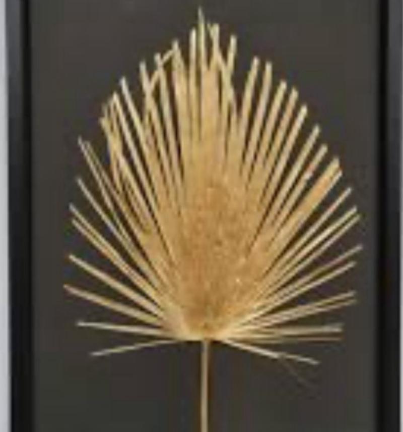 Gold Black Palm 20"