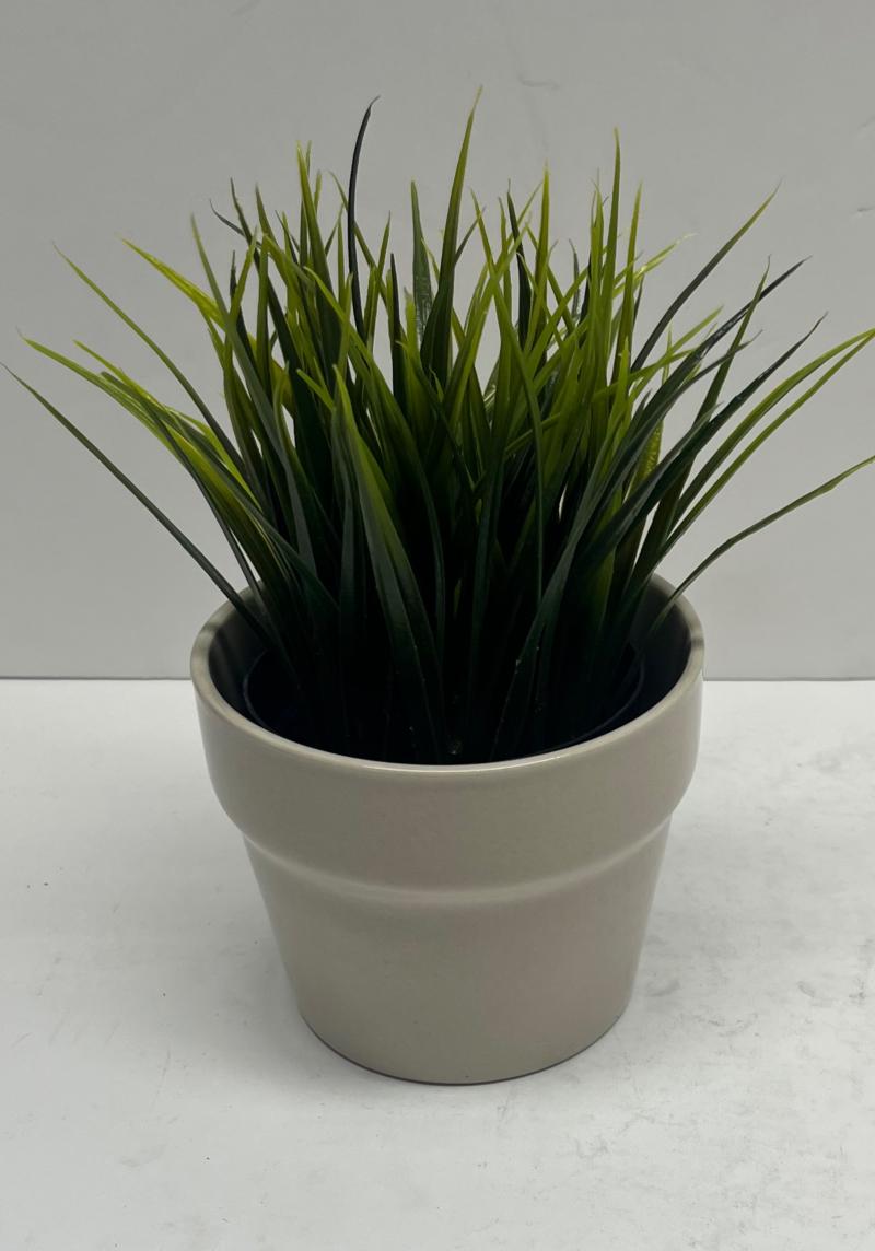Grass In Tan Pot