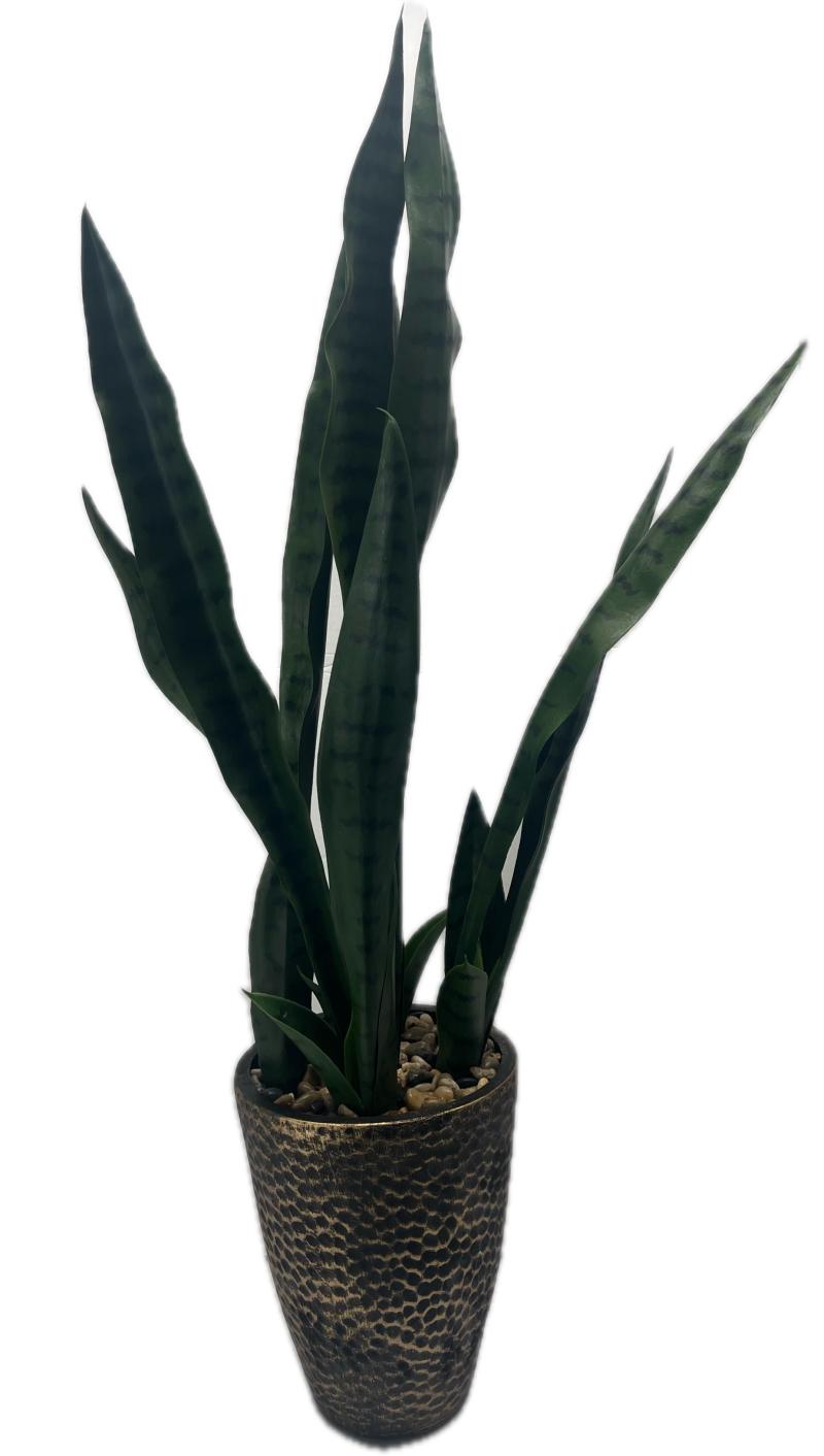 Snake Pl. In Pounded Base