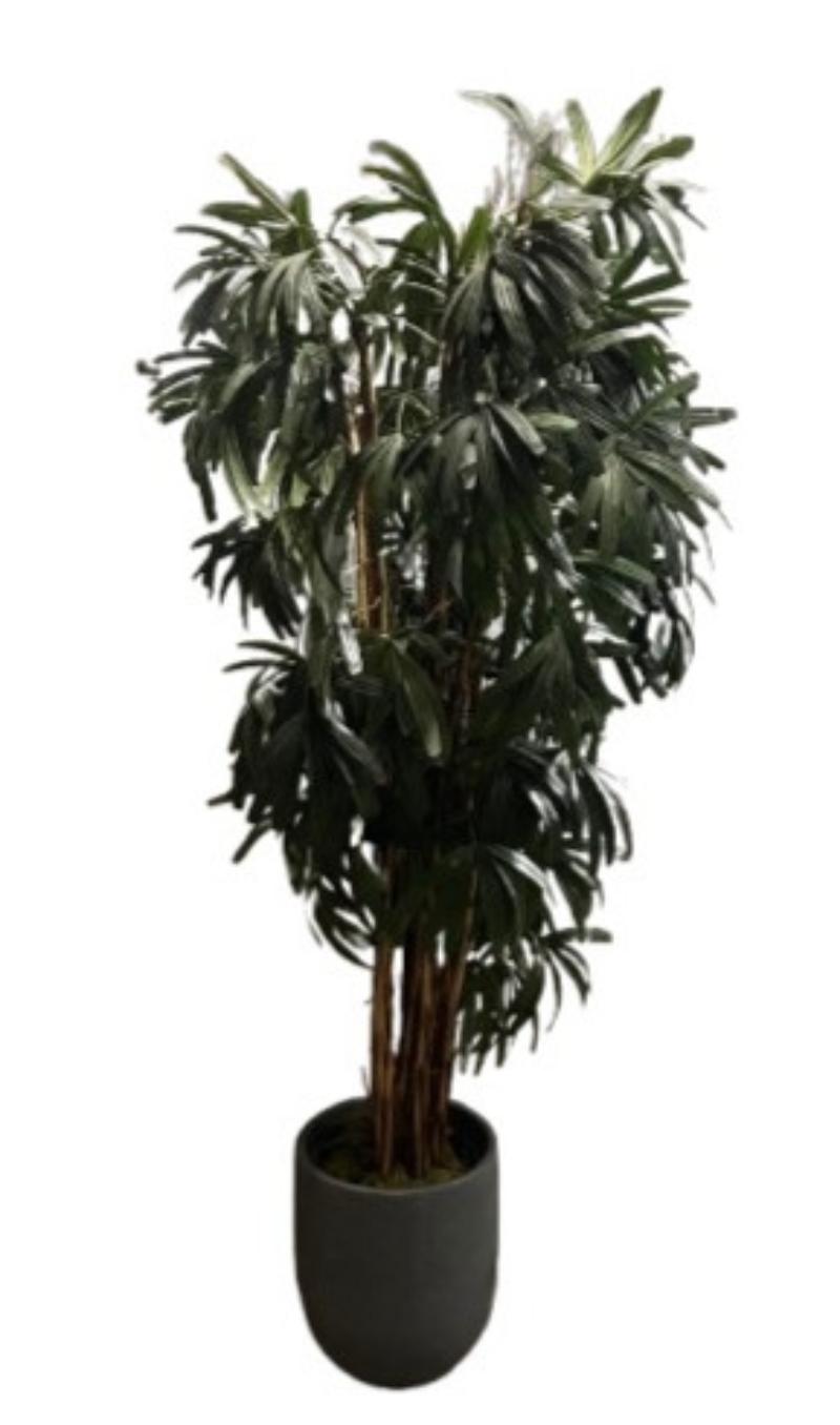 Floor Plant In Rnd Base