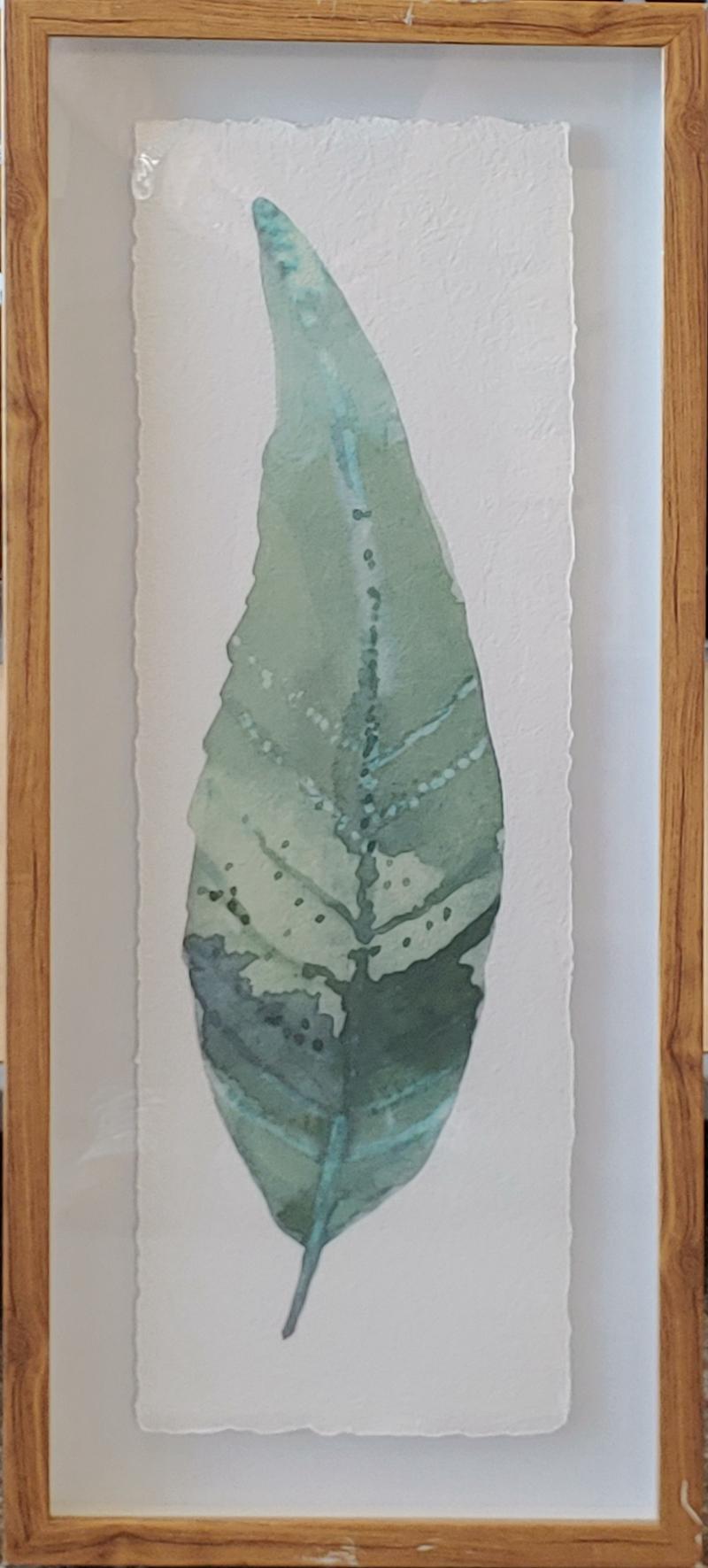 Framed Leaf Under Glass