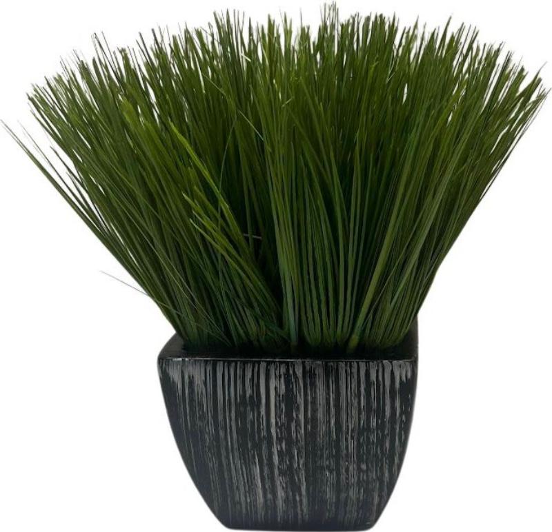 Grass In Striped Vase