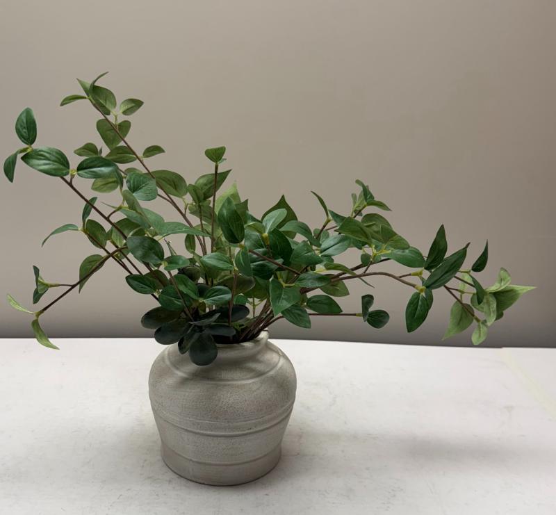Table Plant